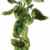 Reptiles & Amphibian Exo Terra | Exo Terra Terrarium Plastic Amapallo Shrub Fake Plant