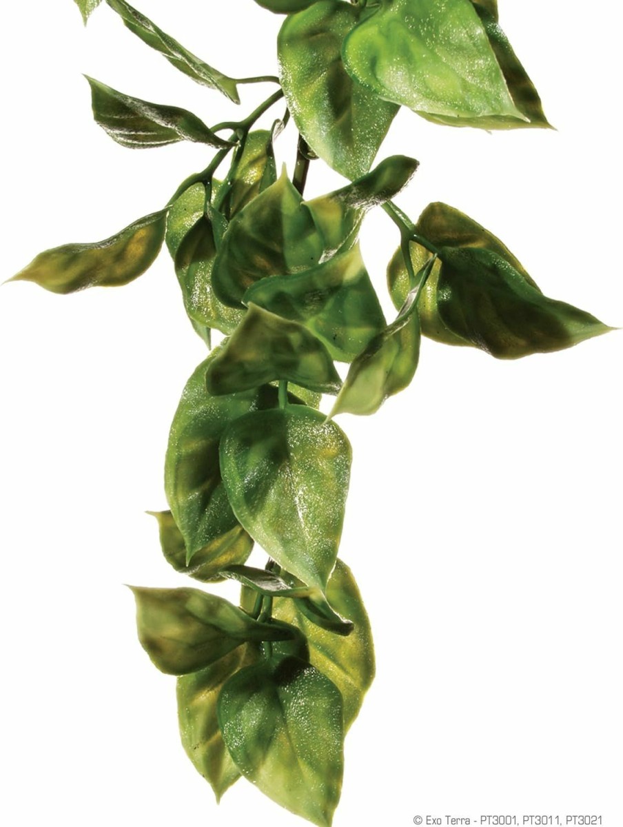 Reptiles & Amphibian Exo Terra | Exo Terra Terrarium Plastic Amapallo Shrub Fake Plant