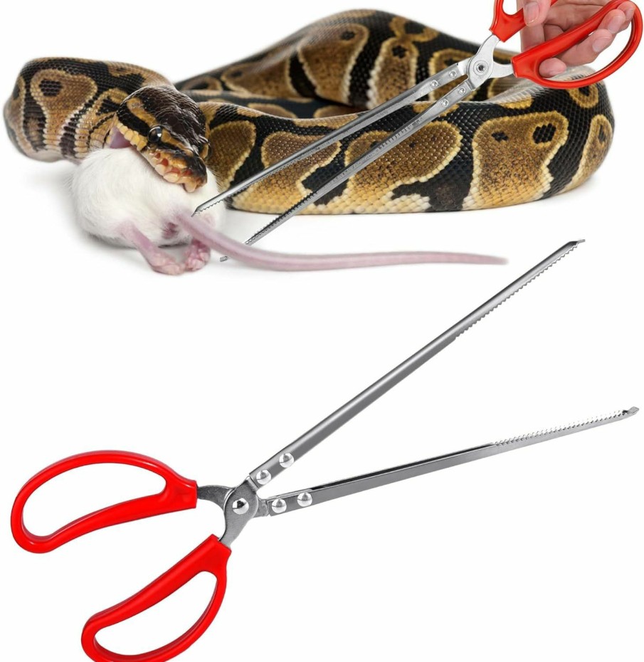 Reptiles & Amphibian Vodolo | Vodolo Snake Feeding Tongs,15 Inch Reptile Feeding Tongs,Extra Long Large Tweezers For Corn Ball Python Accessories,Bearded Dragon Reptile Tank Accessories Terrarium Supplies