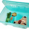 Reptiles & Amphibian Fhiny | Fhiny 2 Pack Turtle Tank With Lid, Small & Medium Plastic Turtle Breeding Box Habitat With Plants Basking Platform And Lake Tortoise Aquarium Prevent Climbing Escaping For Crabs Crayfish Reptile