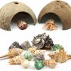 Reptiles & Amphibian QUOZUO | Quozuo Hermit Crab Supplies, 2Pcs Natural Coconut Shell Hut And 14Pcs Hermit Crab Shells, Small To Medium Sea Shells For House Hermit Crab Tank Habitat