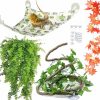 Reptiles & Amphibian Calymmny | Claymmny 5-In-1 Reptile Terrarium Decoration Set, Bearded Dragon Hammock With Jungle Vines Artificial Plants Leaves Habitat Accessories For Climbing Chameleon Hermit Crab Lizards Gecko(5Pcs)