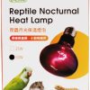 Reptiles & Amphibian ISTA | Ista Reptile Nocturnal Heat Lamp 50W, 110V