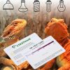 Reptiles & Amphibian LIKZINWA | Likzinwa Uvb Sensor Card, 2-Pack Test Card Of Reptile Lamp Uv Sensor Reptile Uvb Fluorescent Lamp