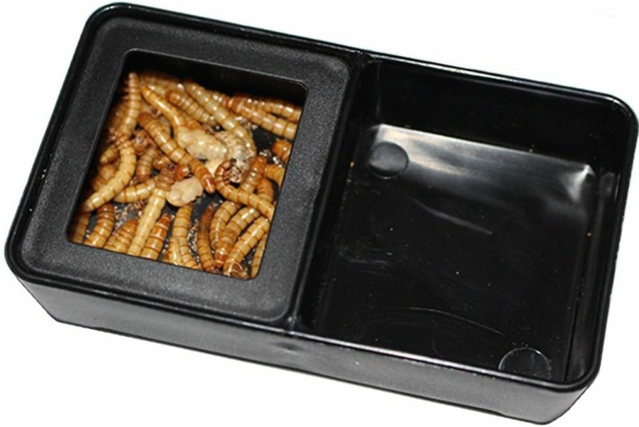 Reptiles & Amphibian OMEM | Omem Worm Dish Mini Reptile Food And Water Bowl 2 In 1