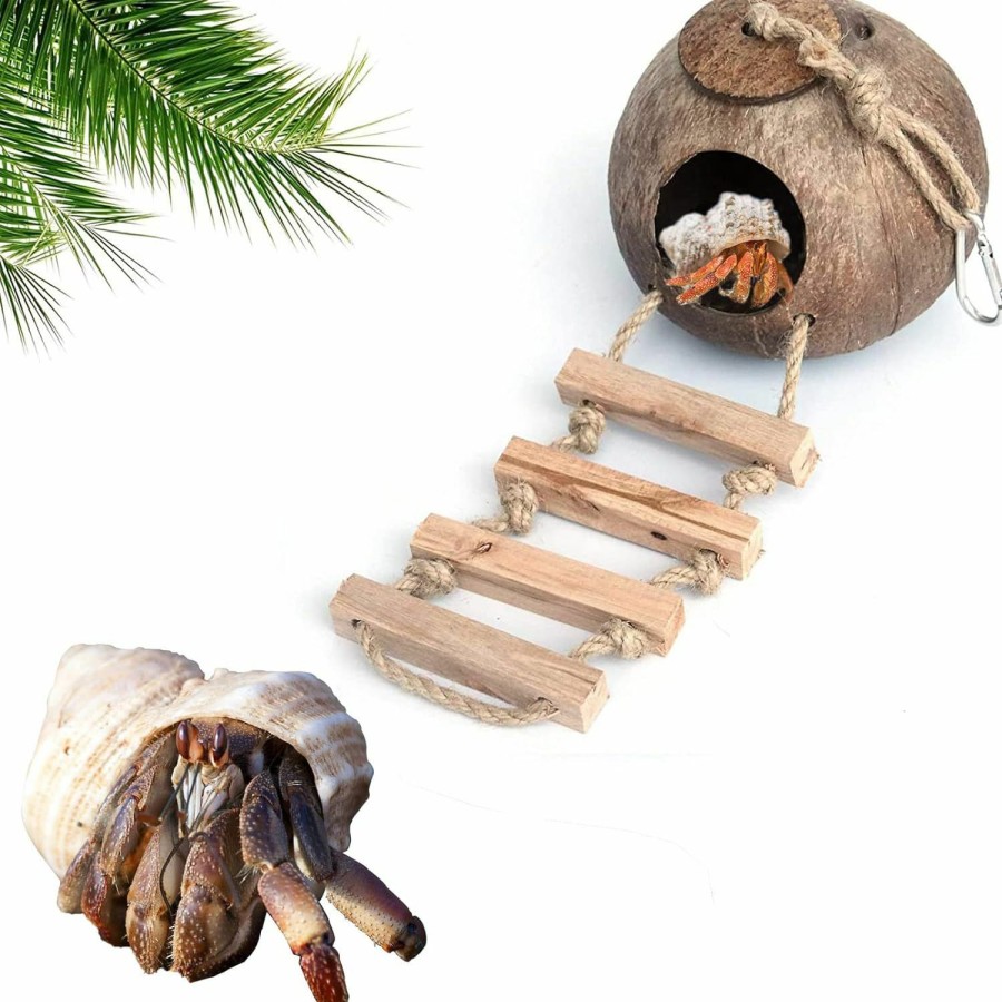 Reptiles & Amphibian LODCZIOE | Hermit Crab Coconut Husk Hut With Ladder, Durable Cave Habitat With Hanging Loop For Gecko, Reptiles, Amphibians And Small Animals, 5" Diameter, 2.5" Opening