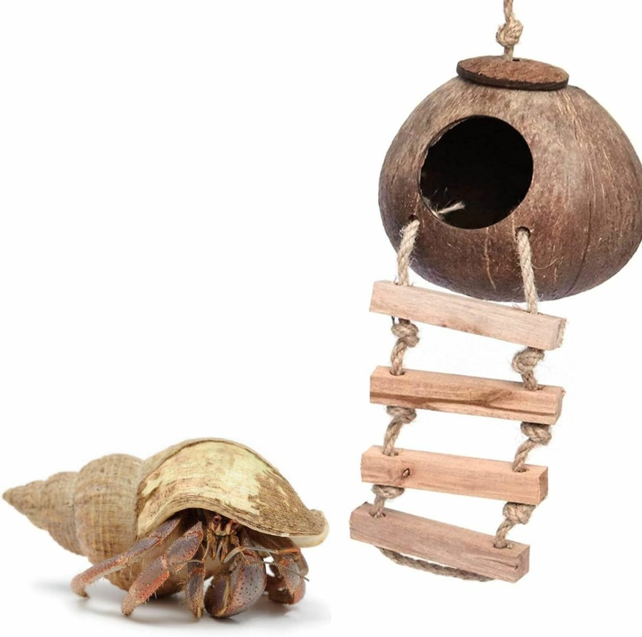 Reptiles & Amphibian LODCZIOE | Hermit Crab Coconut Husk Hut With Ladder, Durable Cave Habitat With Hanging Loop For Gecko, Reptiles, Amphibians And Small Animals, 5" Diameter, 2.5" Opening