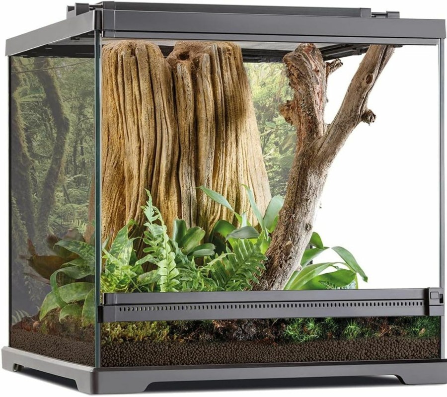 Reptiles & Amphibian Exo Terra | Exo Terra Dart Frog Terrarium