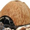 Reptiles & Amphibian Hypeety | Hypeety Natural Coconut Reptile Habitat Hideout For Reptile, Lizard, Spider, Snake, Aquarium, Fish Hide Cave Hermit Crabs, Hamsters Natural Coco Hut Organic Non-Toxic Aquarium Decoration