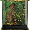 Reptiles & Amphibian Zoo Med | Zoo Med Laboratories Szmnt3 Naturalistic Terrarium, Large (18\" X 18\" X 18\")