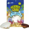 Reptiles & Amphibian Needzo | Hermit Crab Habitat Supplies Pack Of Two Seashell Food And Water Bowls, Reptile Diy Terrarium Kit Necessities, 3.75 And 2.25 Inches