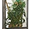 Reptiles & Amphibian Zoo Med | Zoo Med Reptibreeze Open Air Screen Cage, Large, 18 X 18 X 36-Inches