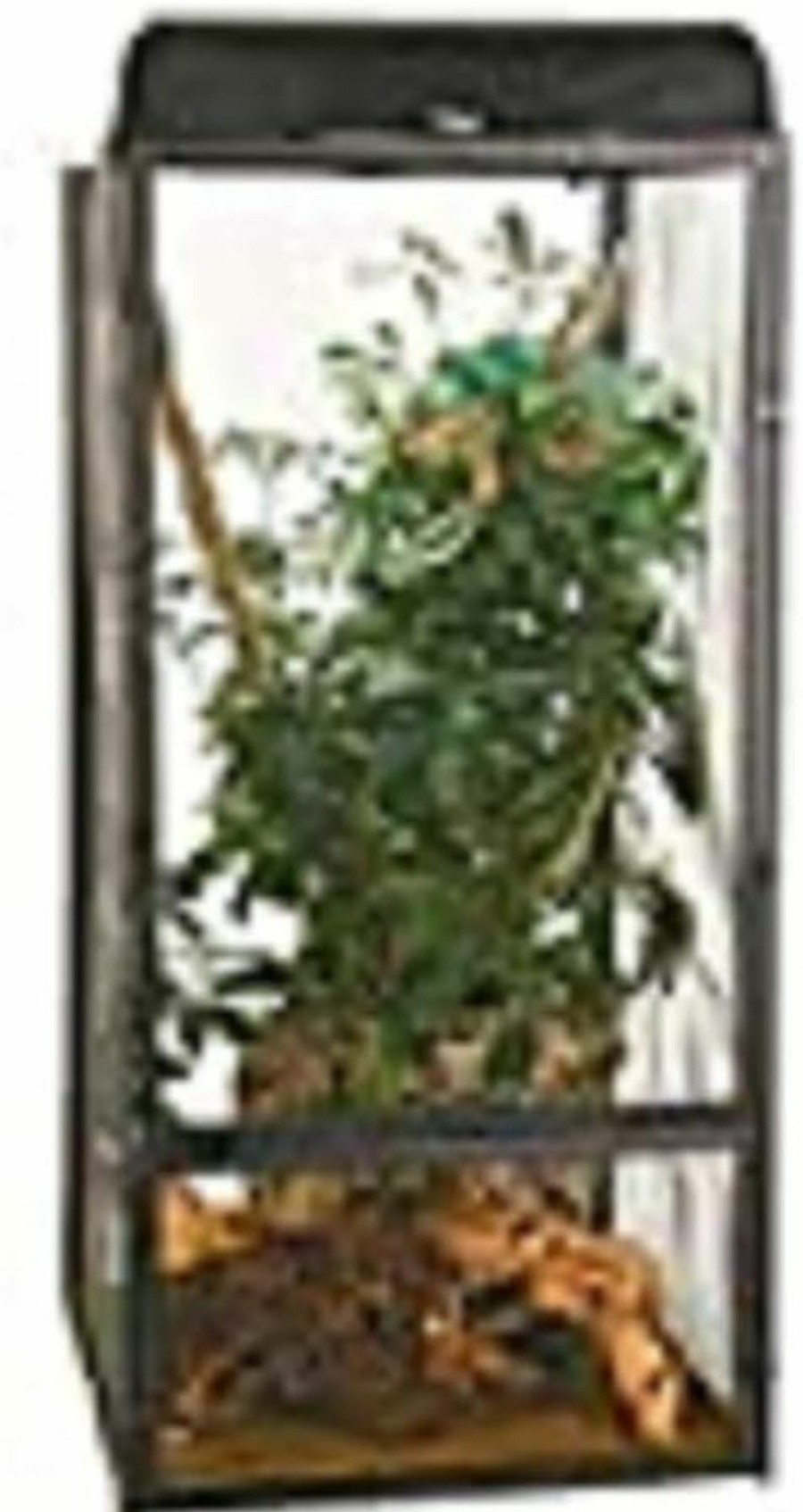 Reptiles & Amphibian Zoo Med | Zoo Med Reptibreeze Open Air Screen Cage, Large, 18 X 18 X 36-Inches